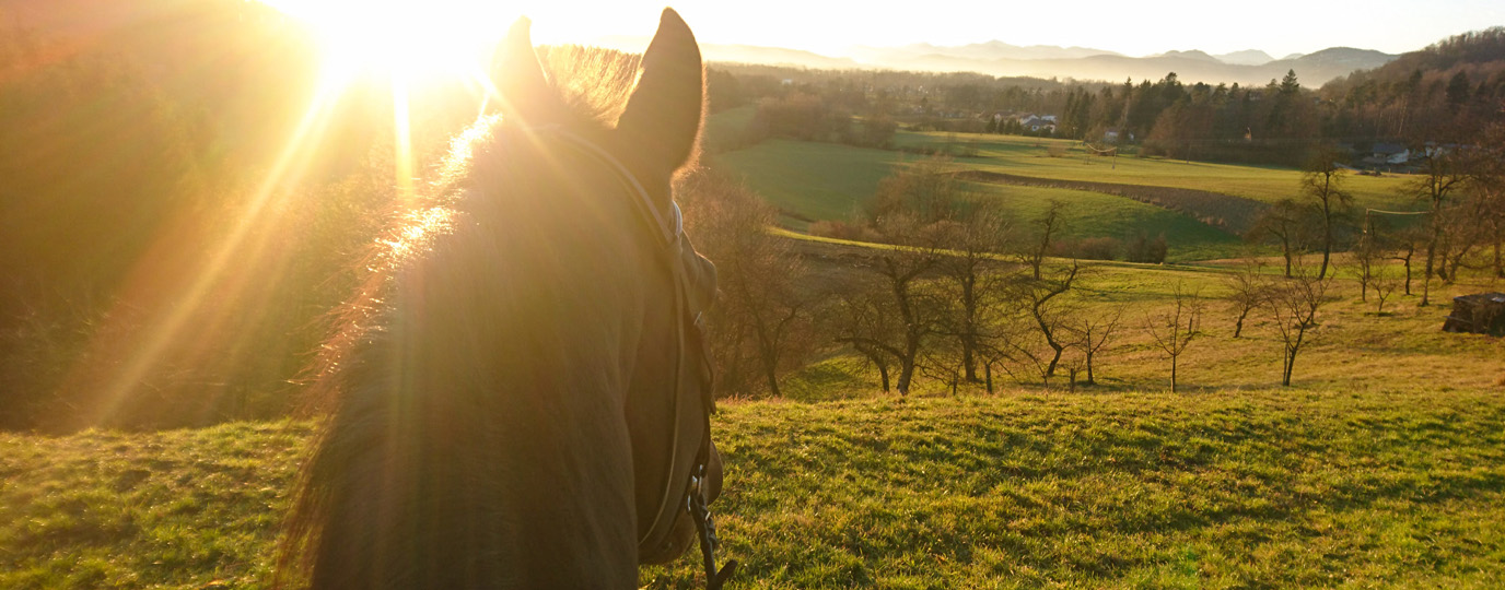 Horse riding POV in the countryside