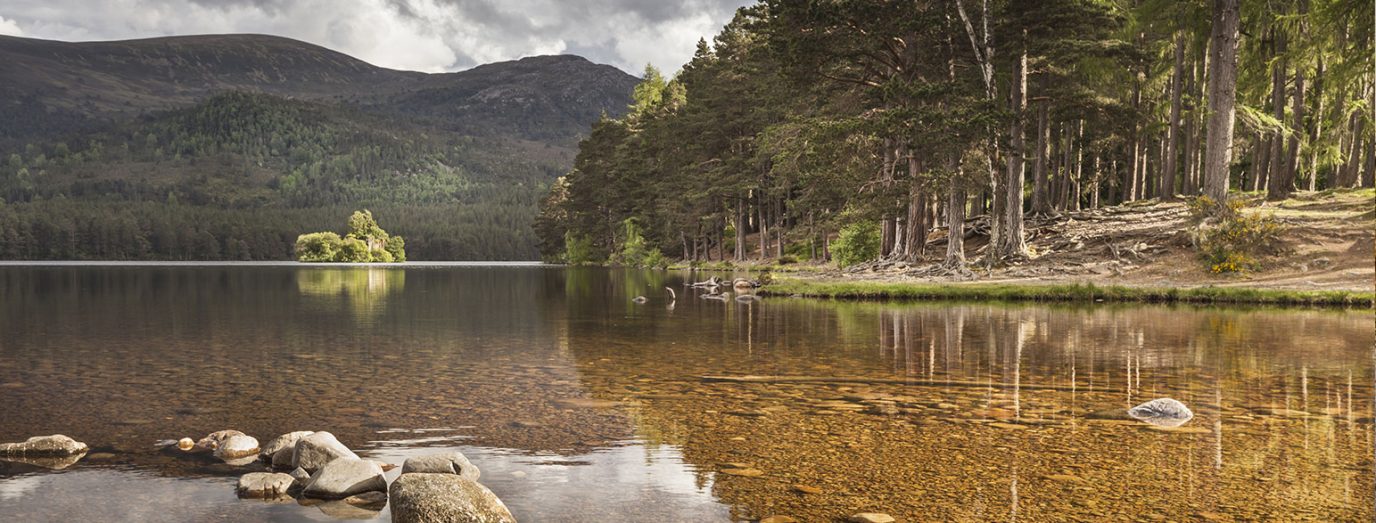 Banner Cairngorms