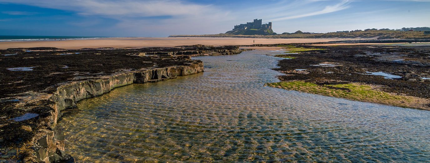 Banner Northumberland