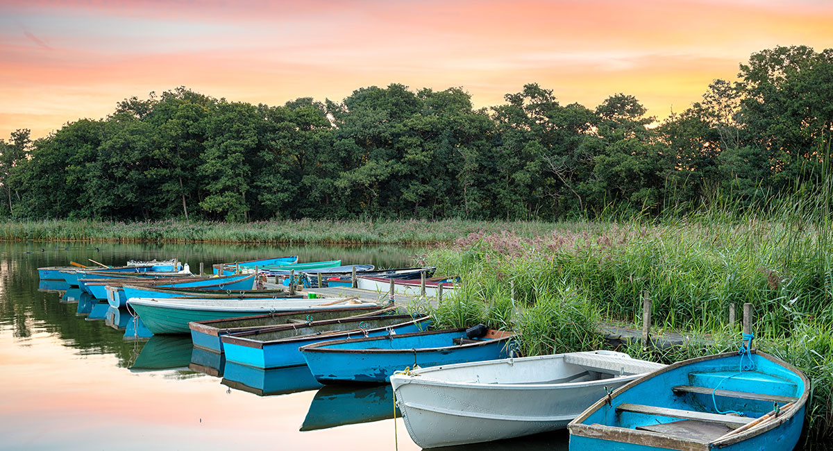 Strumpshaw Fen (RSPB)