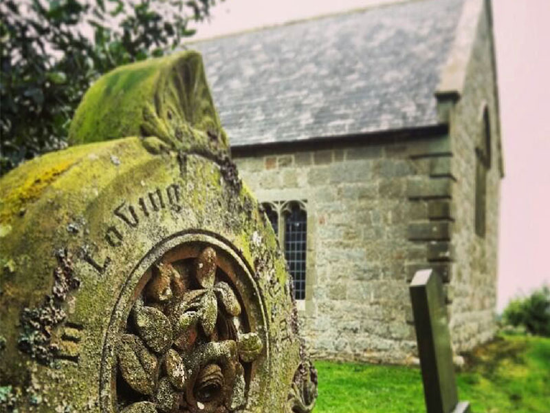 Heaven Fields