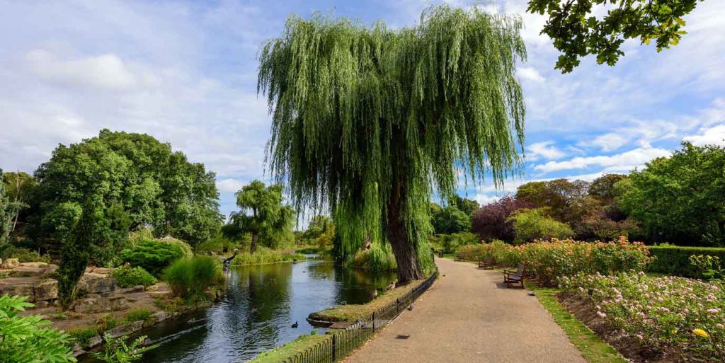 Regent's Park
