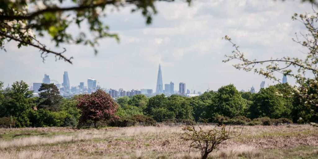 Richmond Park and London