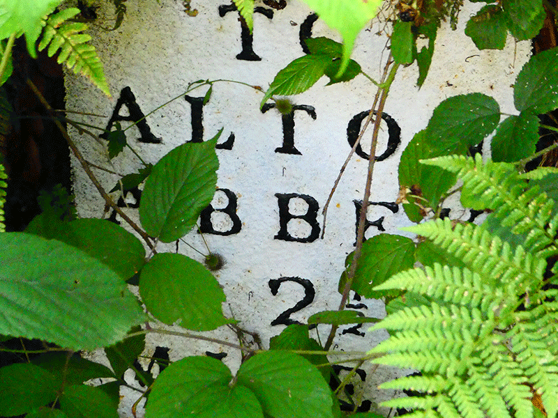 Alton Marker