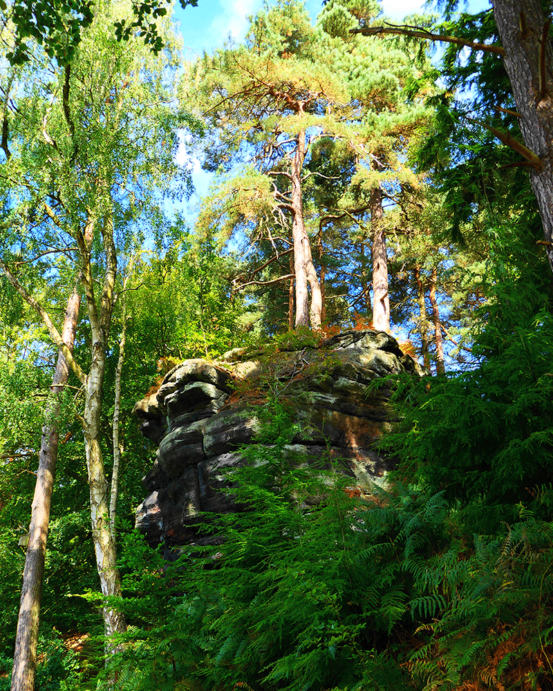 Rocky outcrops