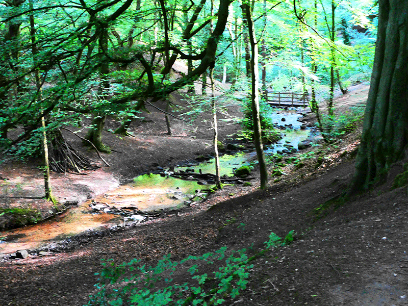 Stream with bridge