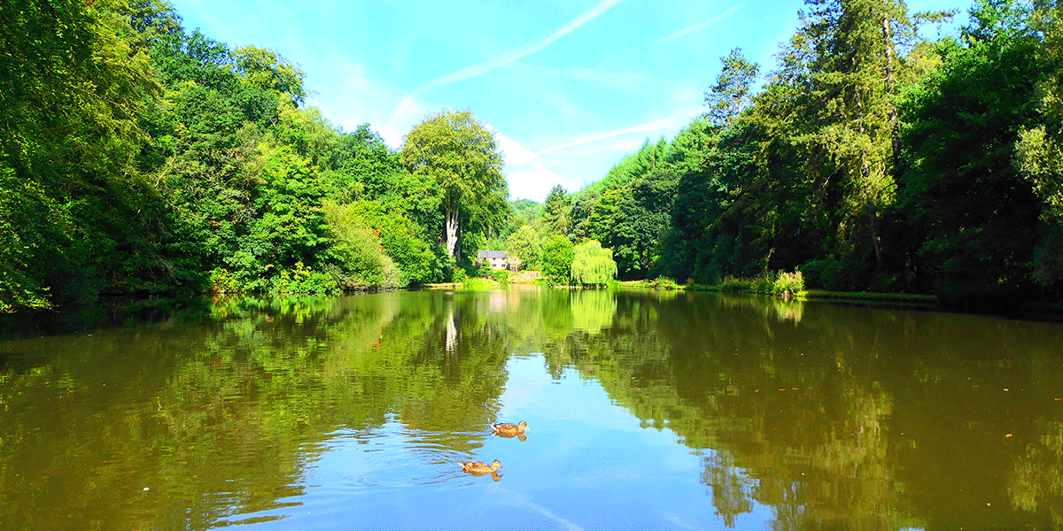 Large pond