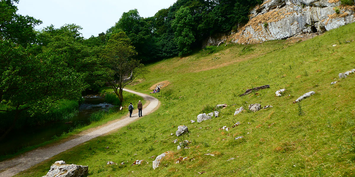 Path