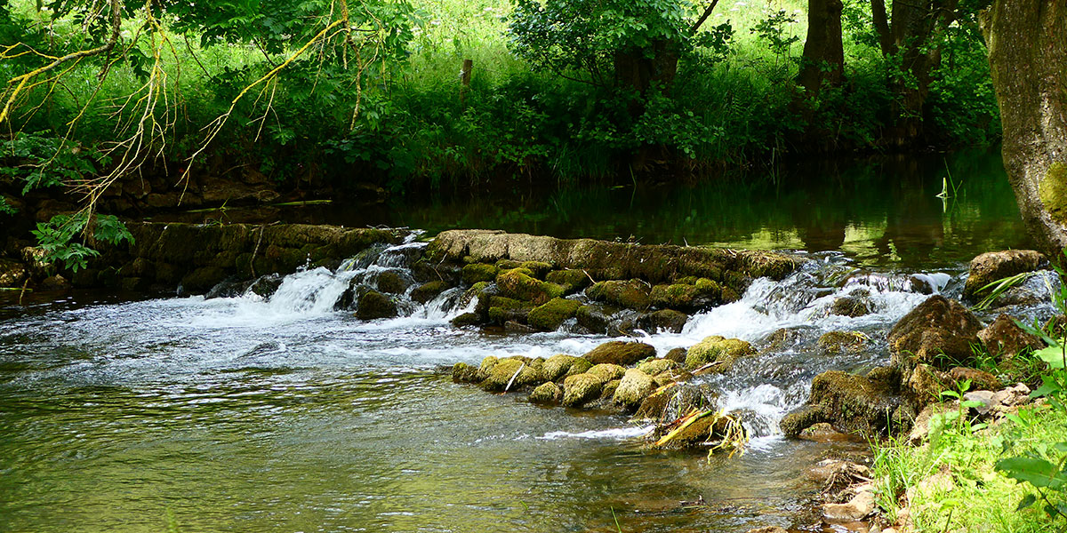 Pike Pool