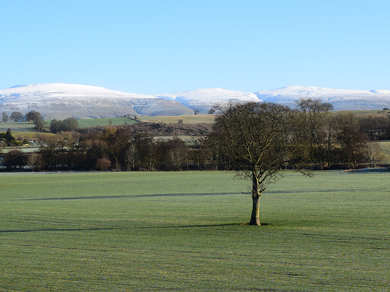 Cross Fell