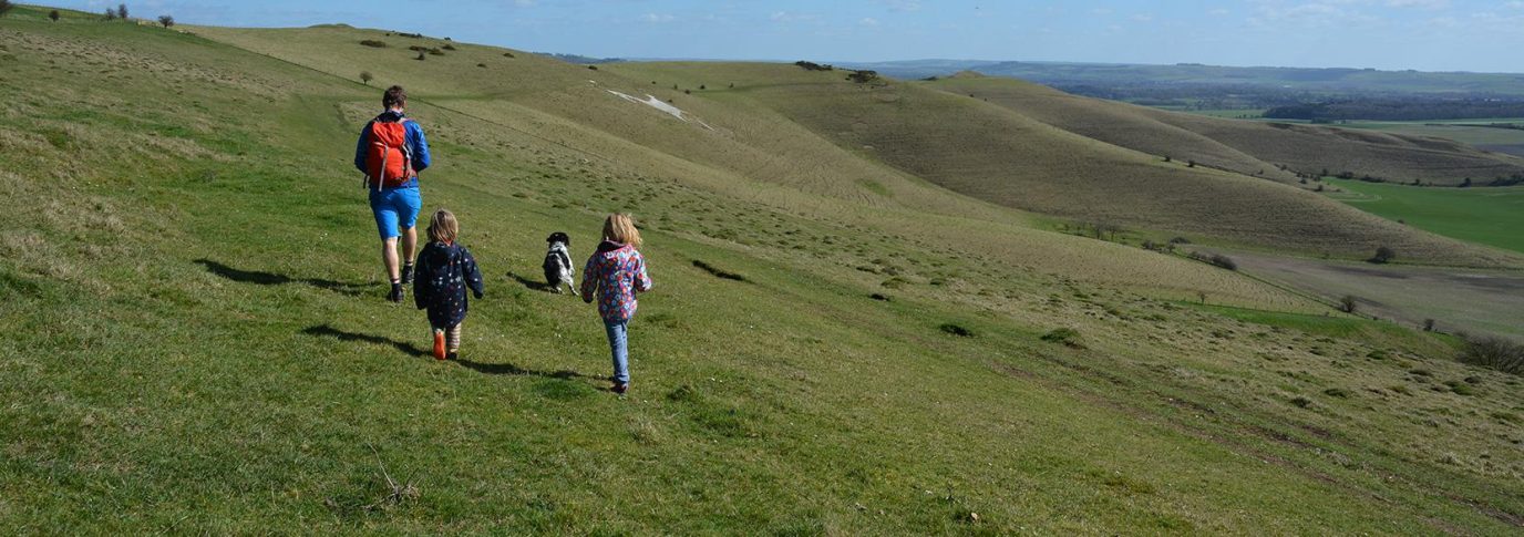 Guide to spring wildflowers
