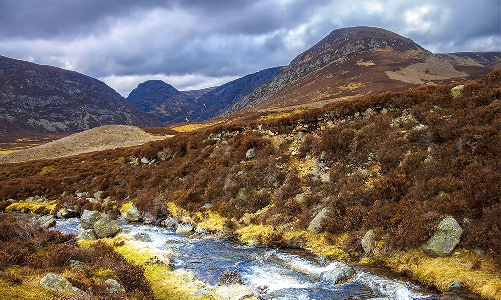 Cairngorms