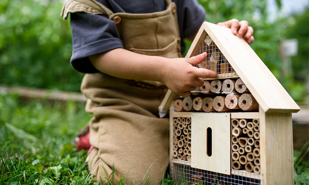 Child with a bee home