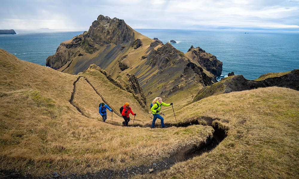 Guide_walking_poles_black_diamond