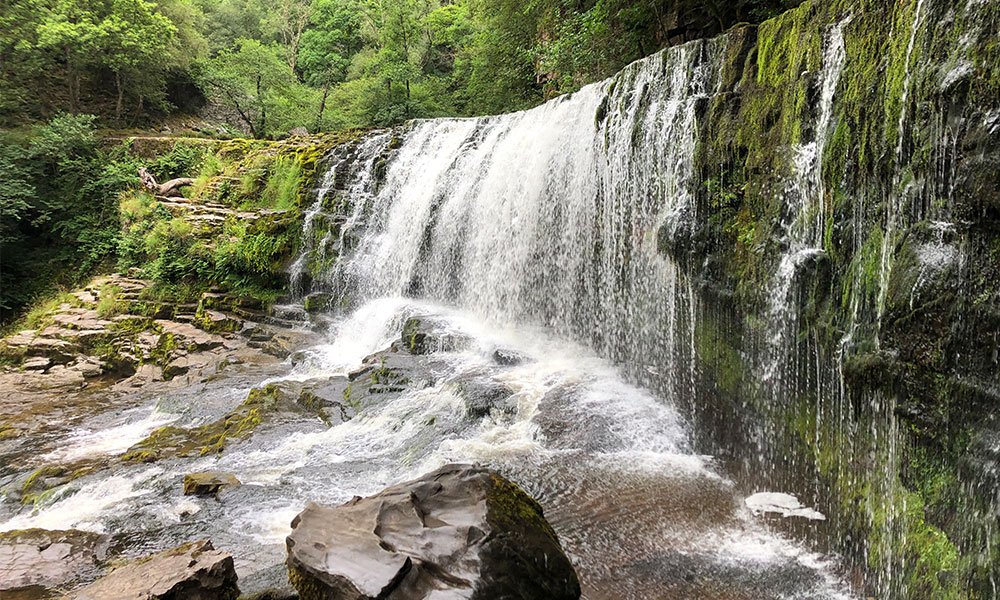 The four falls