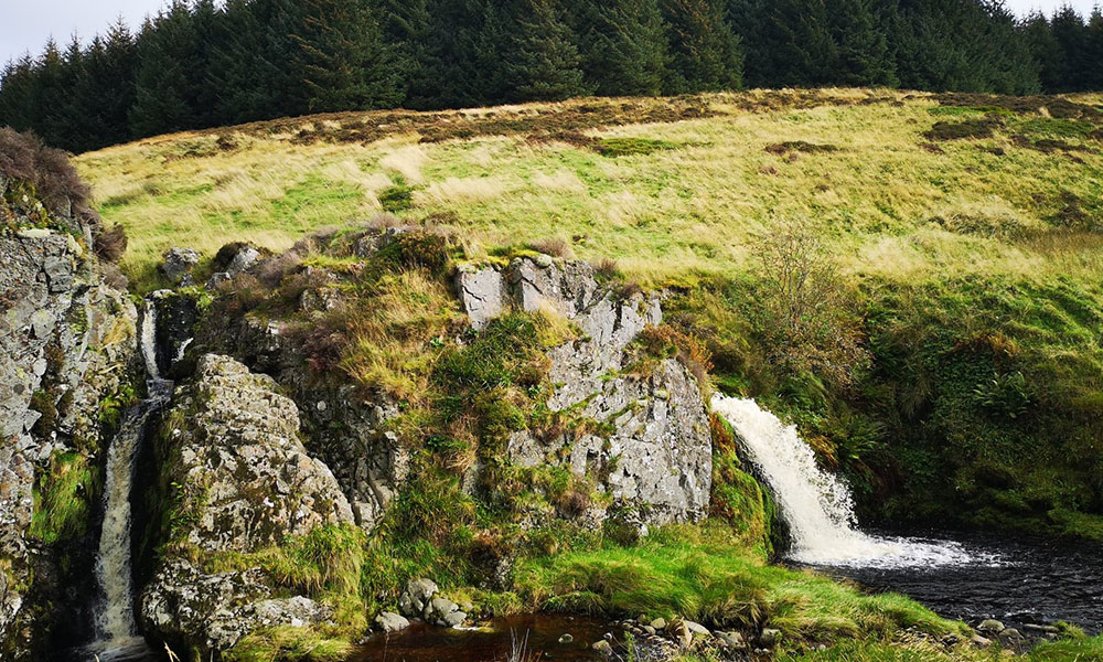 Davidson's Linn