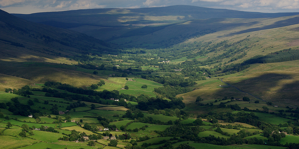 British Countryside
