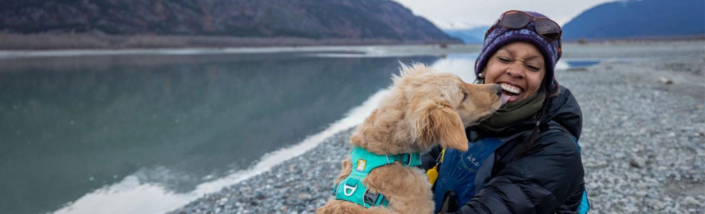 dog-friendly adventures 