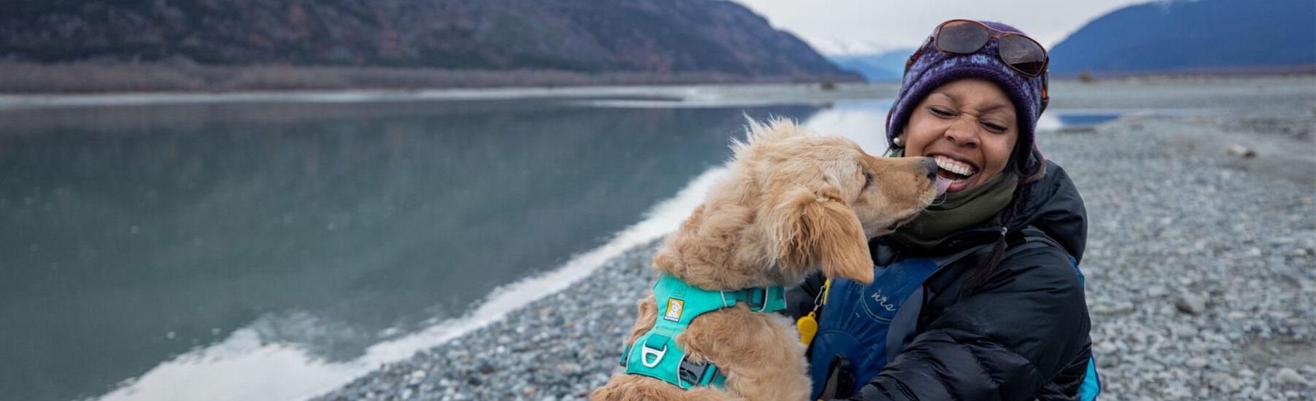 dog-friendly adventures 