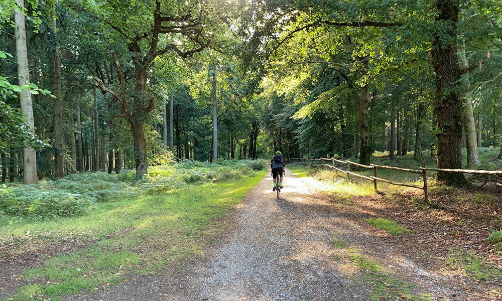 Gravel riding new forest