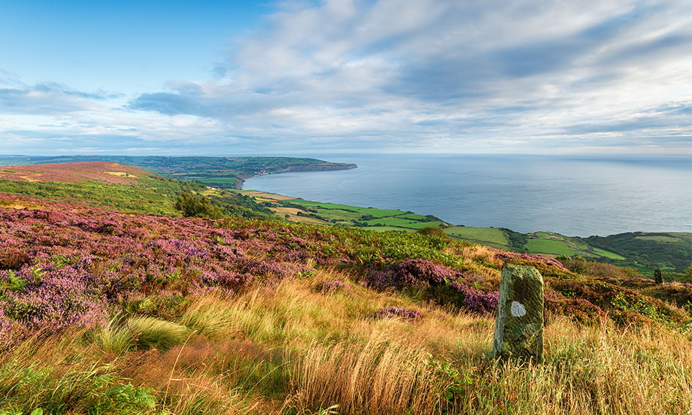 Cleveland Way
