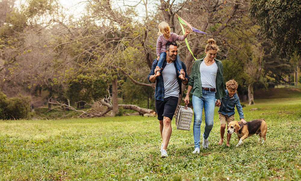 family walking picnic
