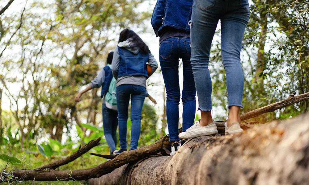 walk 1000 miles with friends