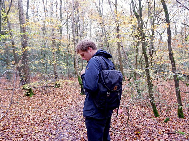 Epping Forest