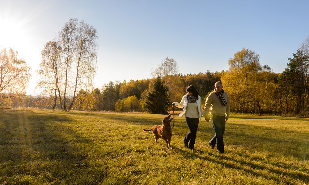dog walking spots couple walking their dog&nbsp;
