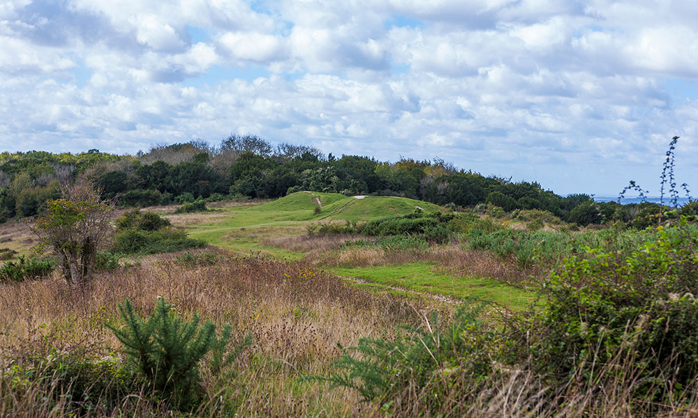 Kingley Vale