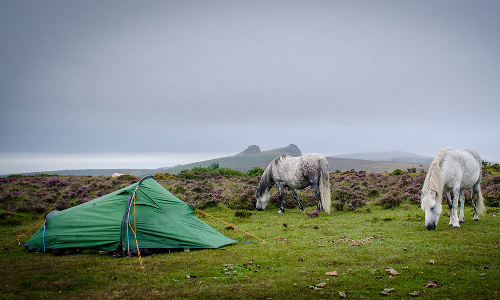 Dartmoor Wild Camping
