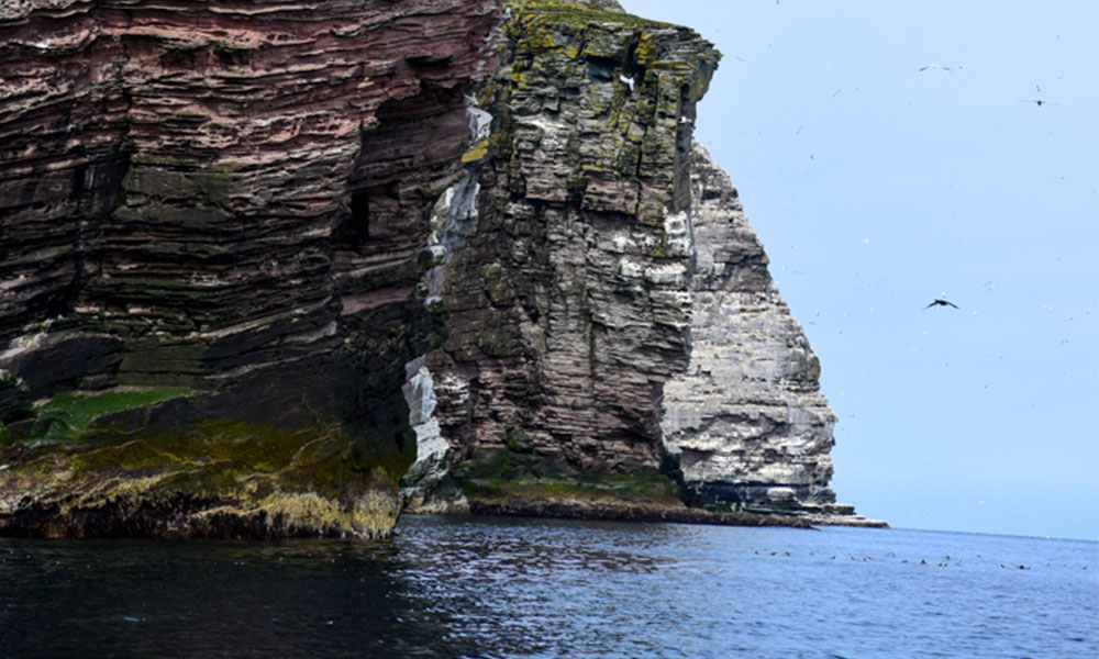 Isle of Noss