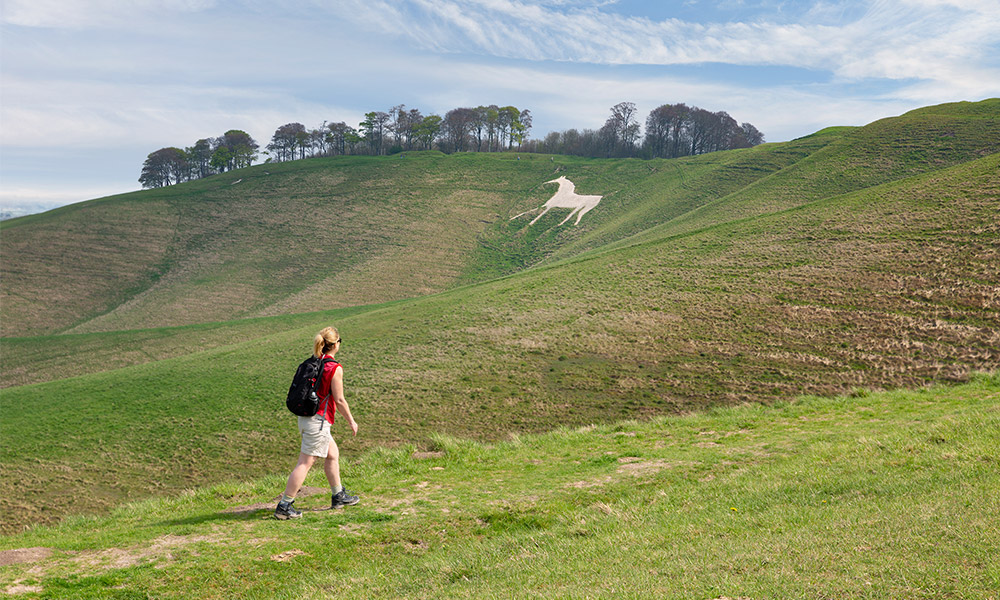 woman walking white horse&nbsp;