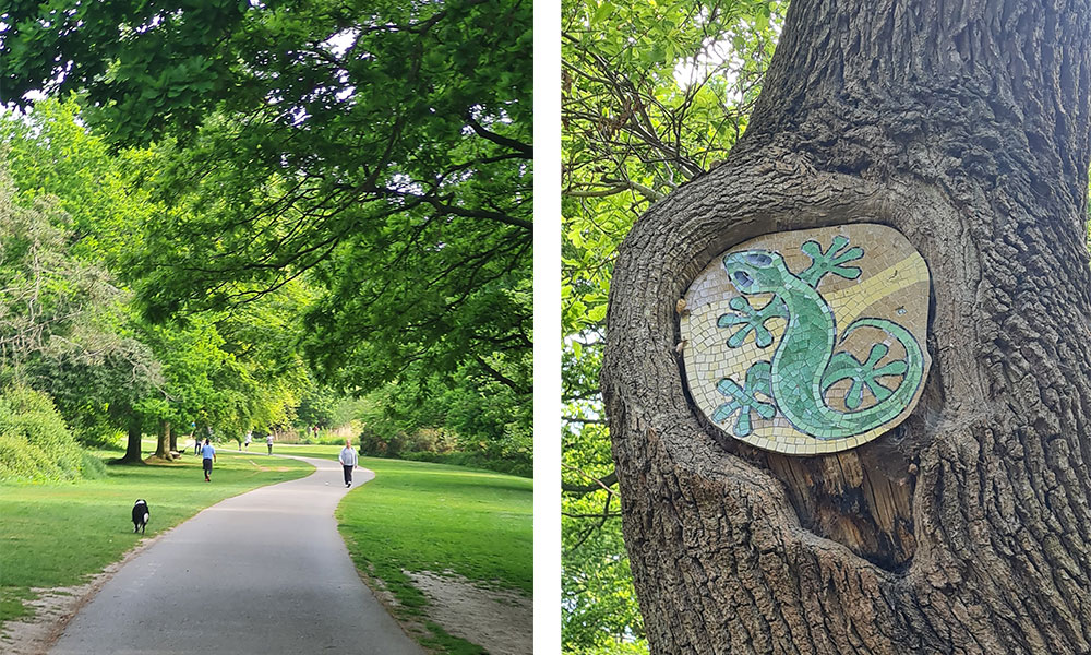 Southampton common