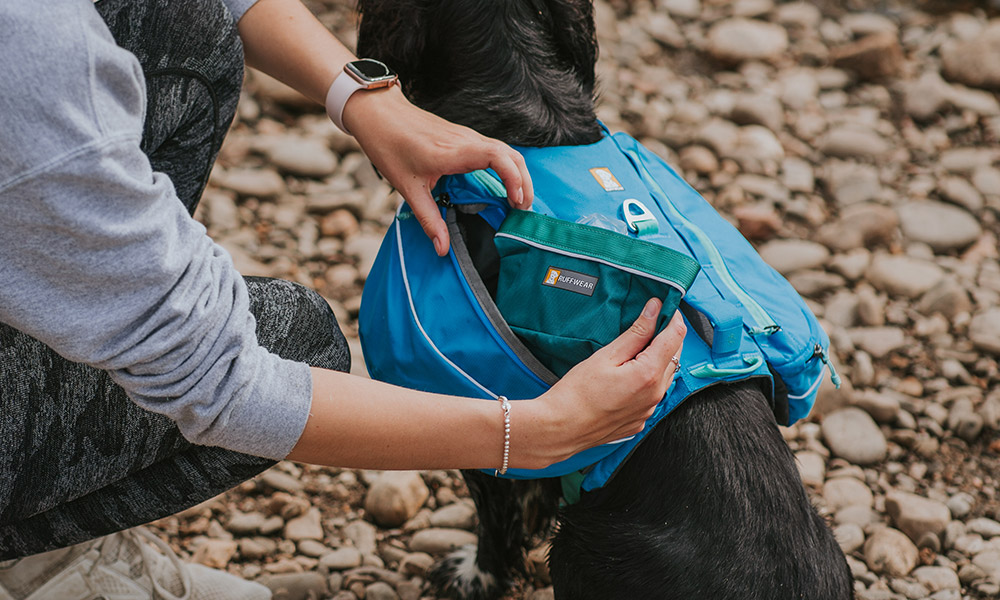 dog harness pack
