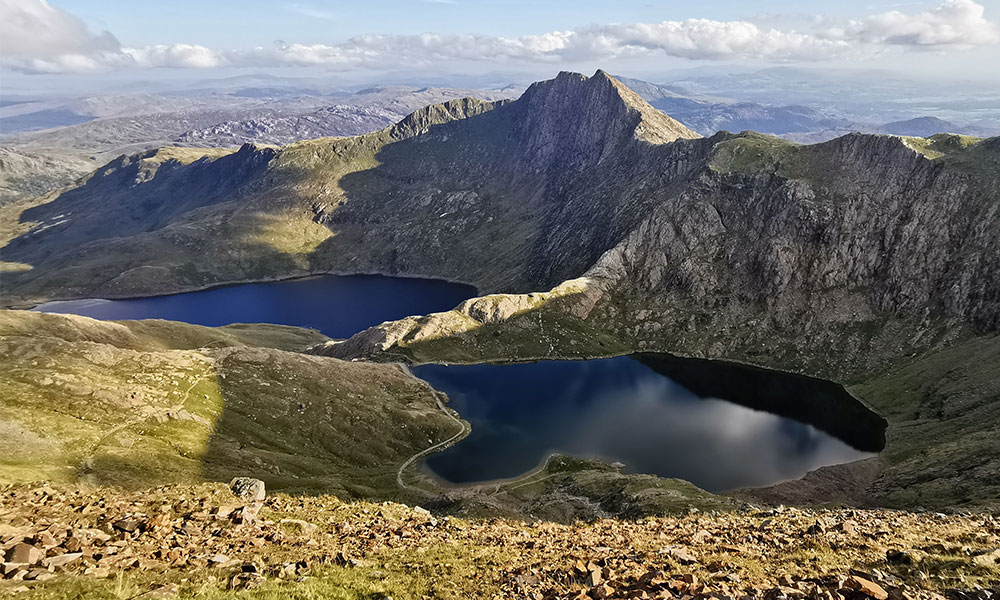The Cambrian Way