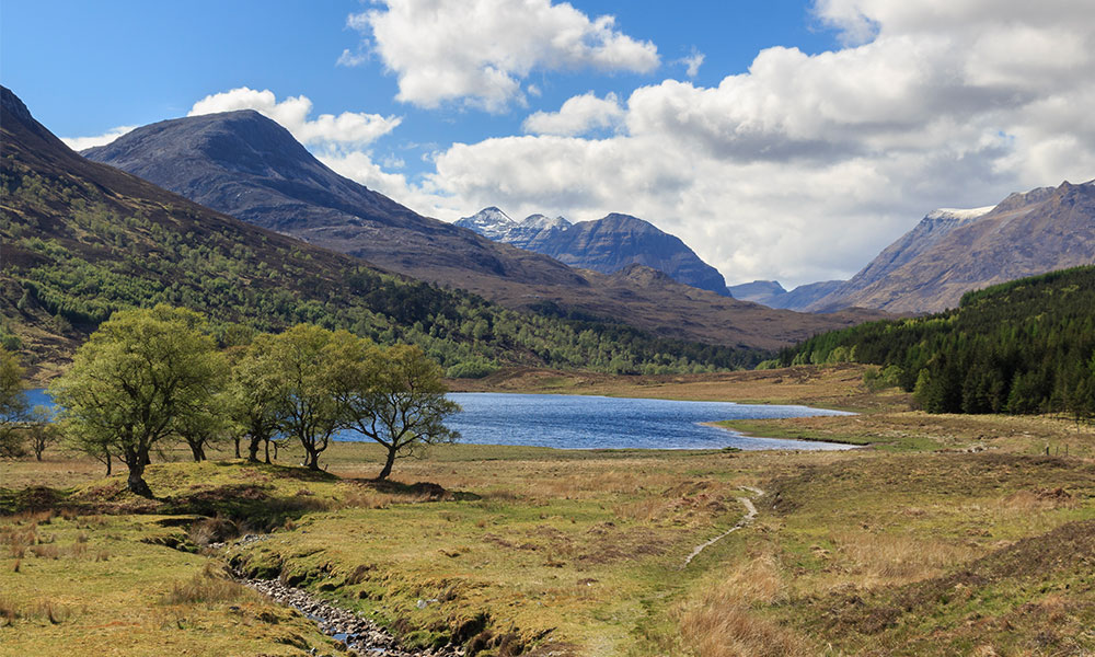 NC500 in spring
