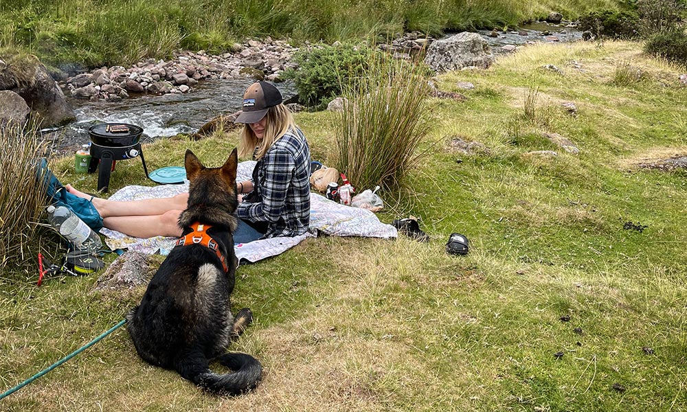 dog camp cooking