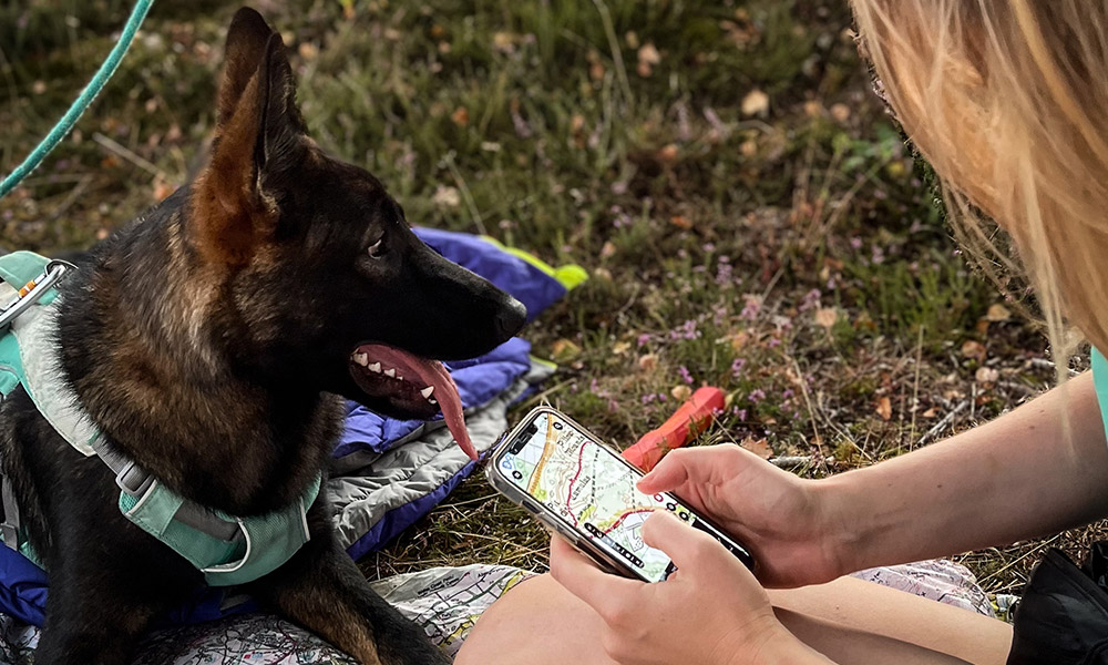 Dog walking os maps