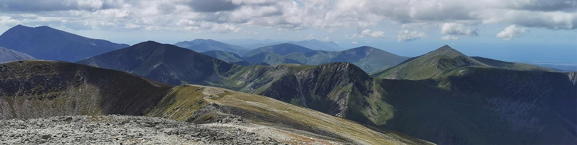 The Cambrian Way