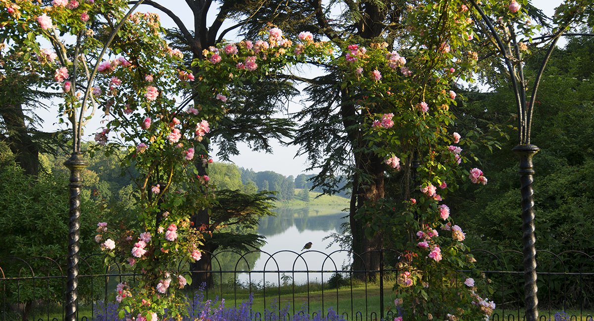 Palace gardens