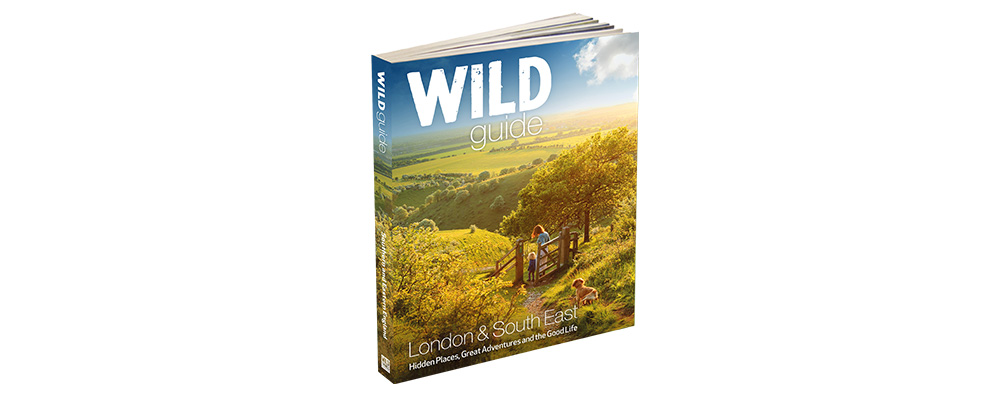  The Wild Guide to London and the South East 