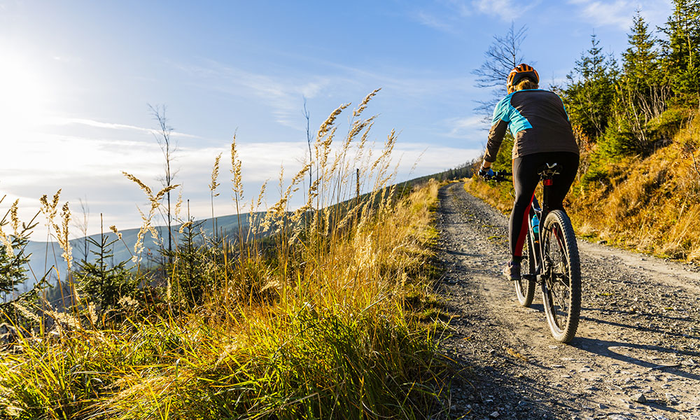 mountain biking winter sun