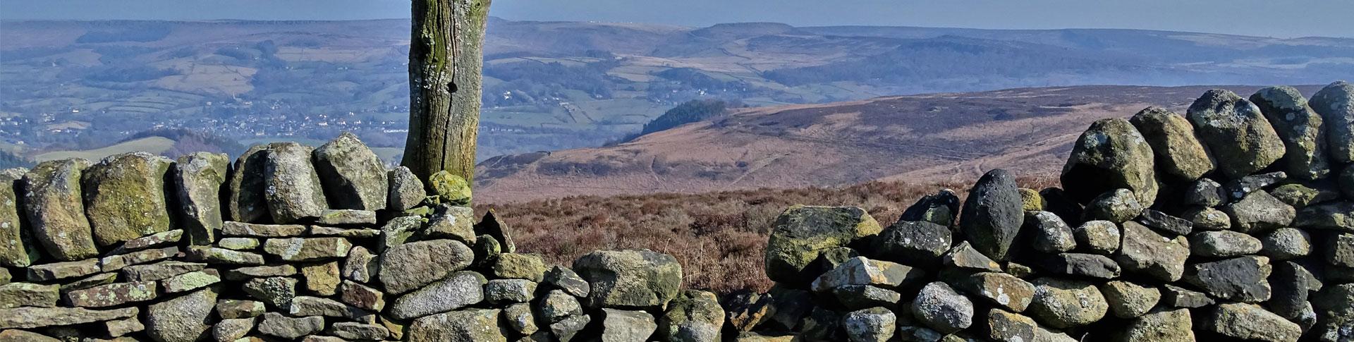 Banner image for OS Wallpaper Download: February 2023 banner image