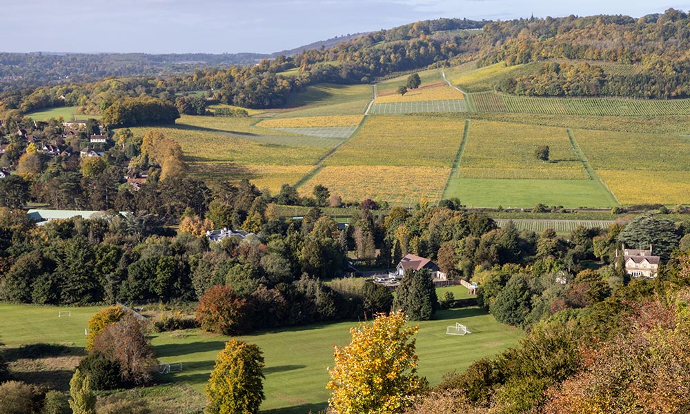 View from Box Hill
