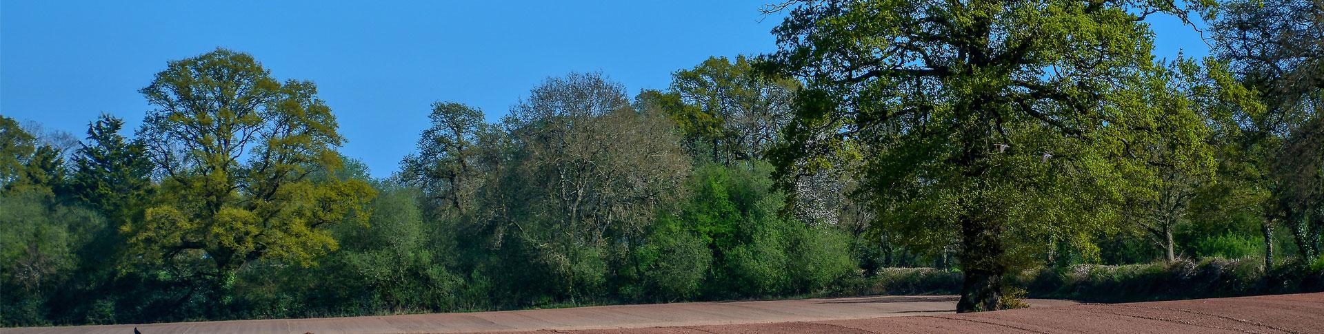 Banner image for OS Wallpaper Download: April 2023 banner image