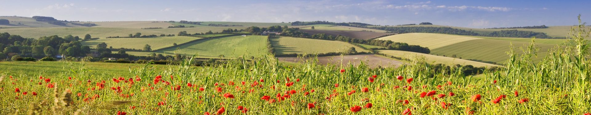 OS Pathfinder Guides