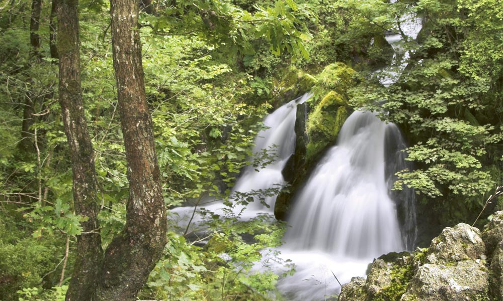 &nbsp;Colwith Force, Skelwith