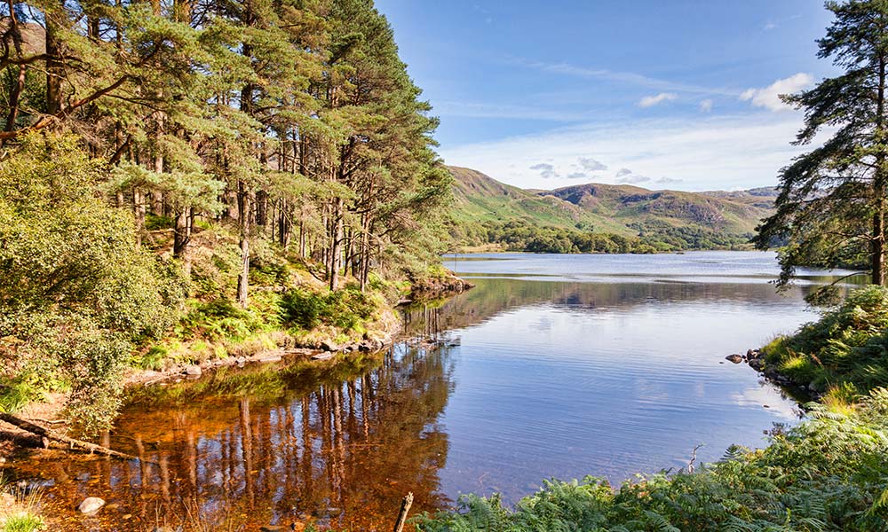 Loch Trool Scotland