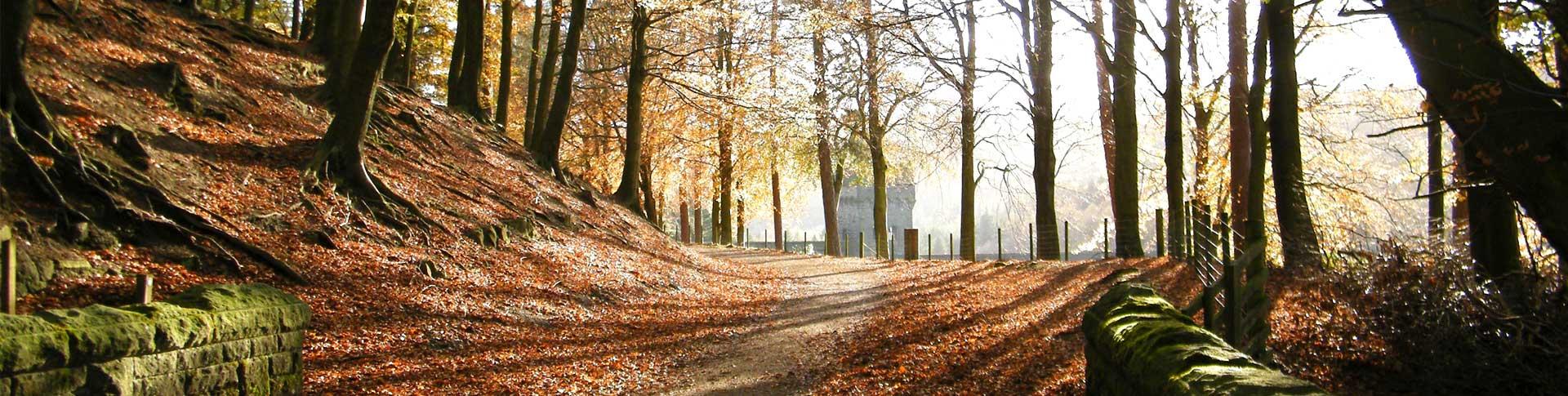 Banner image for OS Wallpaper Download: November 2023 banner image